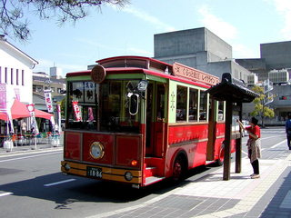 P5020051A.jpg