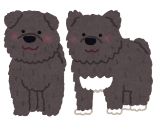 dog_karafutoken_taro_jiro.png
